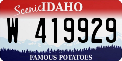 ID license plate W419929