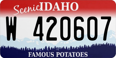 ID license plate W420607