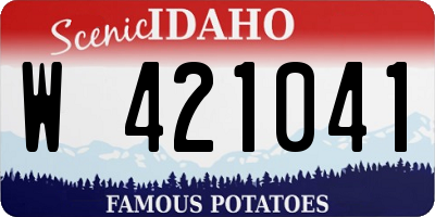 ID license plate W421041