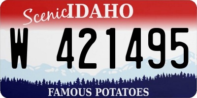 ID license plate W421495