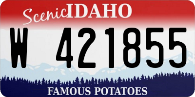 ID license plate W421855