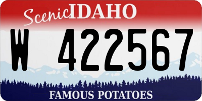 ID license plate W422567