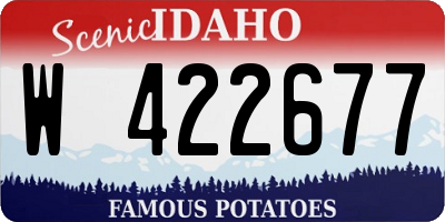 ID license plate W422677