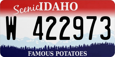 ID license plate W422973