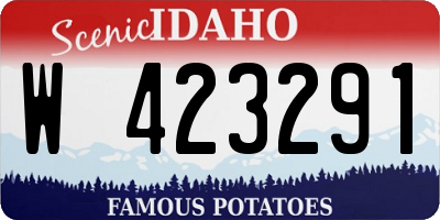 ID license plate W423291