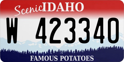 ID license plate W423340
