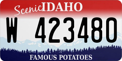 ID license plate W423480