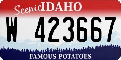 ID license plate W423667