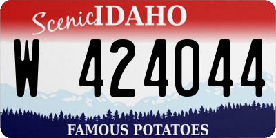 ID license plate W424044