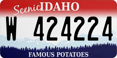 ID license plate W424224