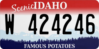 ID license plate W424246