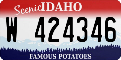 ID license plate W424346