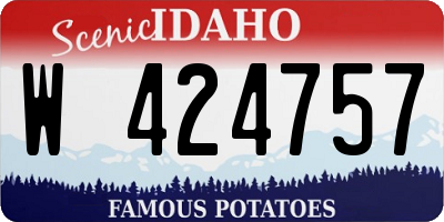 ID license plate W424757