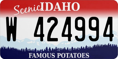 ID license plate W424994