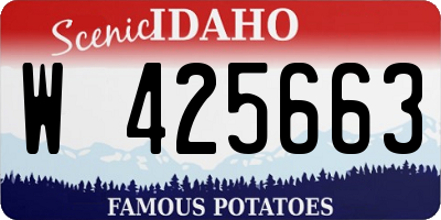 ID license plate W425663