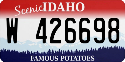 ID license plate W426698
