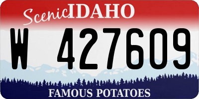 ID license plate W427609