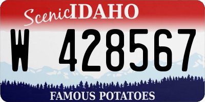 ID license plate W428567