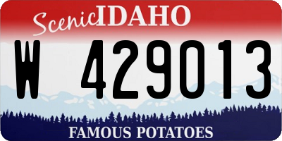 ID license plate W429013