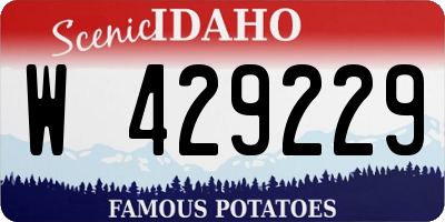 ID license plate W429229