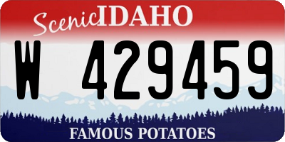 ID license plate W429459