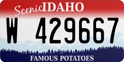ID license plate W429667