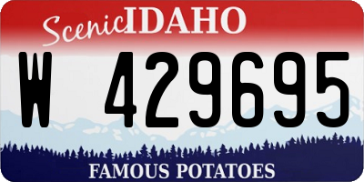 ID license plate W429695