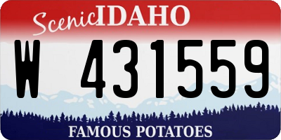 ID license plate W431559