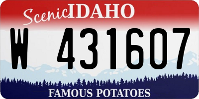 ID license plate W431607