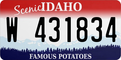 ID license plate W431834