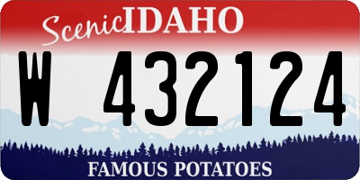 ID license plate W432124