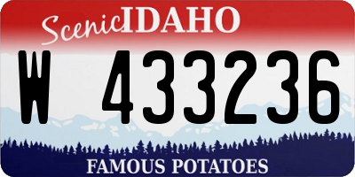 ID license plate W433236