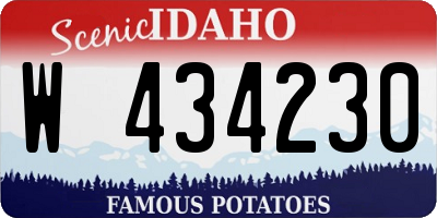 ID license plate W434230