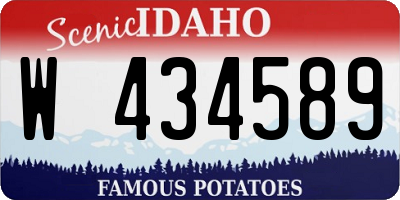 ID license plate W434589