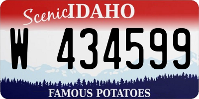 ID license plate W434599