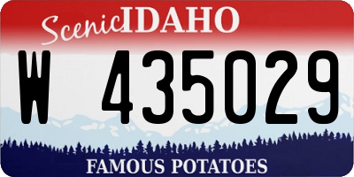 ID license plate W435029