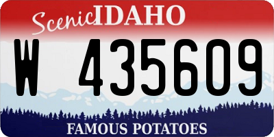 ID license plate W435609