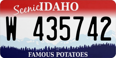 ID license plate W435742