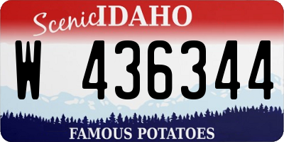 ID license plate W436344