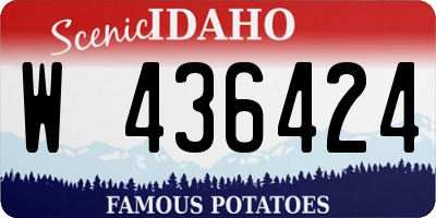 ID license plate W436424