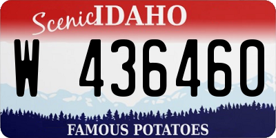ID license plate W436460