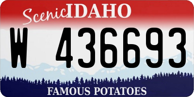 ID license plate W436693