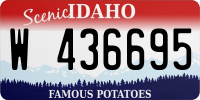ID license plate W436695