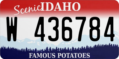 ID license plate W436784