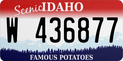 ID license plate W436877