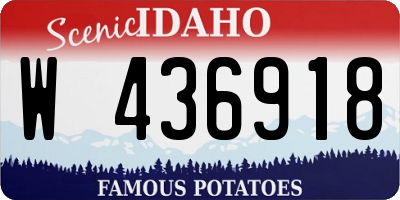 ID license plate W436918