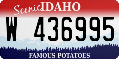 ID license plate W436995