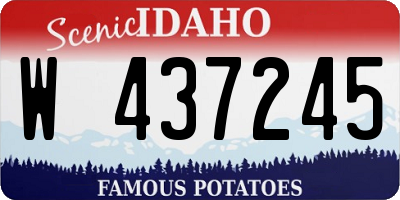 ID license plate W437245
