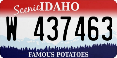 ID license plate W437463