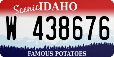 ID license plate W438676